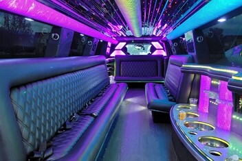 Pearland Limo Interior